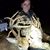 Amanda Hickman Arnsdorff's profile image