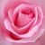 Michelle Bledsoe's profile image