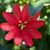 Cynthia Lott's profile image