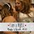 Becca Mae Kitchen's profile image