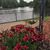 Joleen Krause's profile image