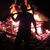 Nick Momaney's profile image