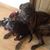 Irene Anderson's profile image