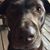 Kelli Vander Zanden's profile image