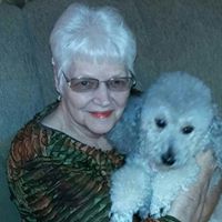 Lois Ankrom's profile image