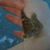 Ann Crossley's profile image