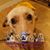 Barbette Falk's profile image