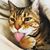 Laurel Porter's profile image