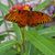 Gail Henderson's profile image