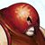 Dusten Robson's profile image