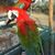 Timothy C. Thompson's profile image