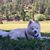 Sheila Cutter's profile image