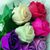 Federica P Luche's profile image
