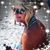 Lisa Ferree's profile image
