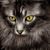 Cindy West's profile image