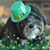 Patty Robertson Durchsprung's profile image