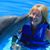 Anne Hodgson's profile image