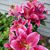 Edie Holbrook's profile image