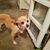 Abby Zimmel's profile image