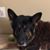 Stacey Hurley Meachum's profile image