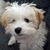 Julie Schafer's profile image