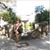 Elaine Masci's profile image
