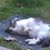Susan Sylvester's profile image
