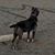 Frank Hadaway's profile image