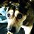 Maria Geiger's profile image