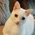 Jszkutnicki Mkain's profile image