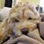 Tom Reasor's profile image