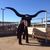 Gary Markes's profile image