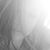 Katherine Walton Shamburger's profile image