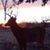 Brent Beaty's profile image