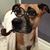 Jean Schwonke's profile image
