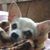 Laura Glidden's profile image