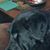 Anna L Maestas's profile image