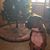 Tony Ringle's profile image
