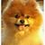 Diane Taylor's profile image