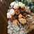 Sheila Terrell's profile image