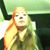 Sarah Hodson's profile image