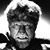 Ben Wolfe's profile image
