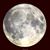 Kimberly Ing Porcaro's profile image