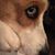Wendy Wray Miller's profile image
