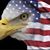 Mary Sylvester's profile image