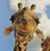 Karen Griffin's profile image