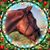 Dorothy Hagar Coia's profile image