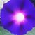 Hasana Martin's profile image