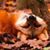 Lainey Canfield's profile image