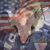 Lisa Van Pelt's profile image